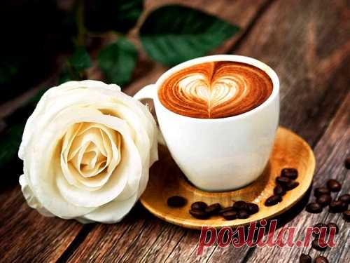 Приметы ПОНЕДЕЛЬНИКА: что принесет счастье, а что отпугнет успех Многим известна поговорка о том, что понедельник — тяжелый день. Превратить его в благоприятное время для новых побед и свершений помогут народные приметы. В них отражена мудрость предков, которые знали о том, что привлечет успех, а что может отпугнуть удачу.