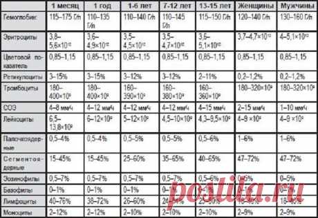 Продукты повышающие гемоглобин в крови - список разрешенной едой для детей и беременных