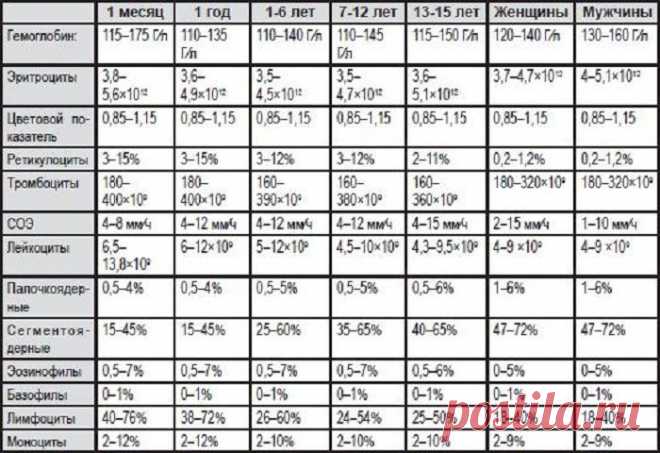Продукты повышающие гемоглобин в крови - список разрешенной едой для детей и беременных