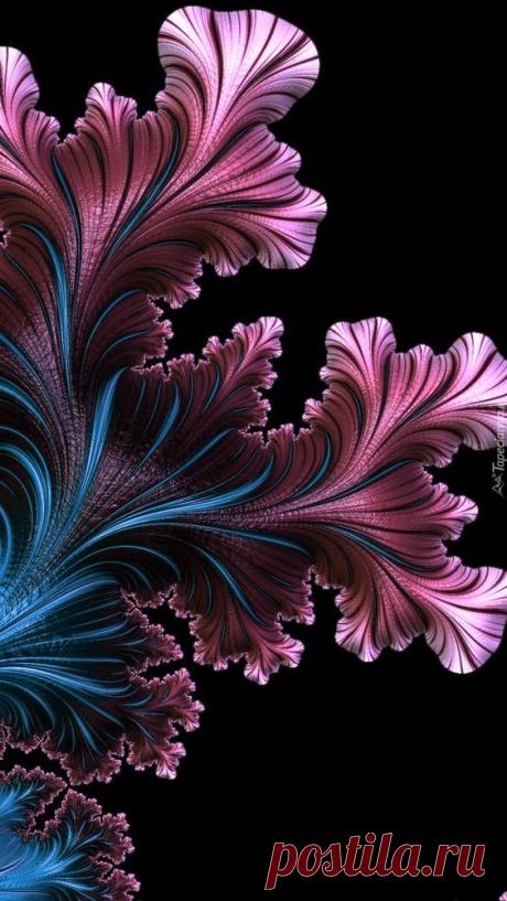 (2608) Pinterest