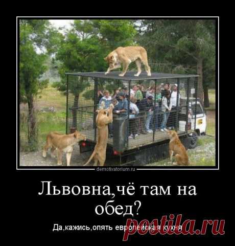 Демотиваторы про туристов