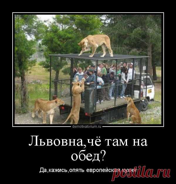 Демотиваторы про туристов