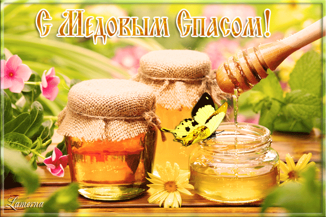 Профиль пользователя Анна