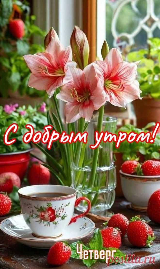 Пусть день окажется хорошим И продуктивным на дела. Пускай приятным будет тоже, Пускай побалует тебя. Ты всё успей, что будет в планах, Про отдых тоже не забудь. Пусть будет день из лучших самых, Тех, что счастливыми зовут!