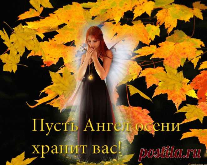 0_e79a0_fe63fef5_orig (800×640)