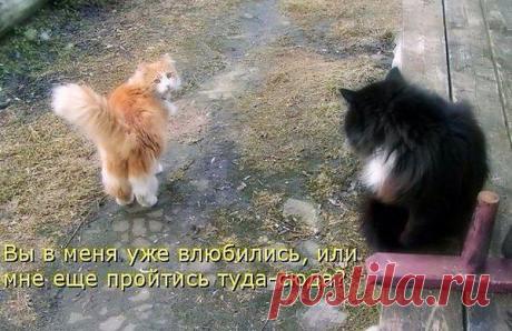 Интересные новости