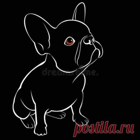 Pin page