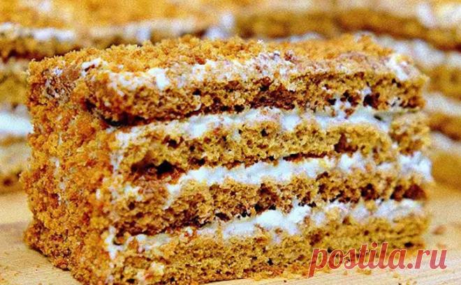 Медовик за 18 минут без траты времени на раскатку коржей: получается словно из сплошного крема