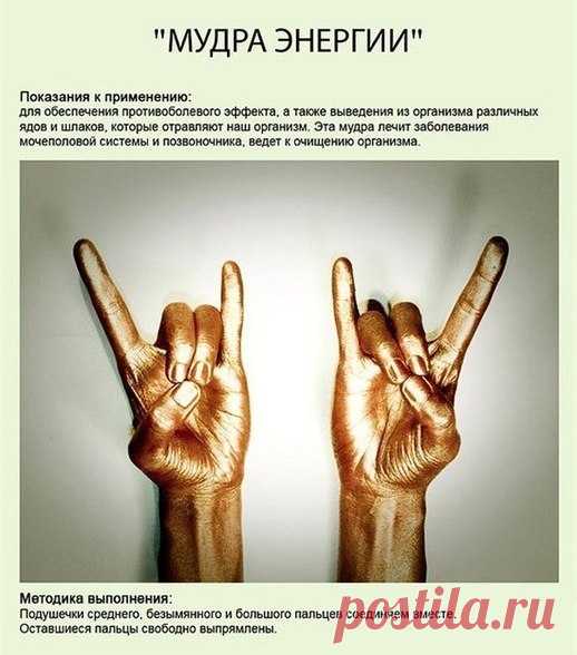 СИЛА ЦЕЛИТЕЛЬНЫХ МУДР