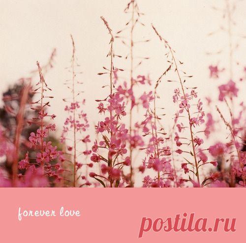 Уроки любви: Мишель Пфайффер