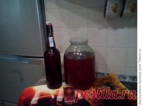 Настойки своими руками