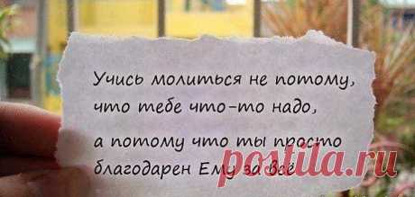 Любовь и благодарность