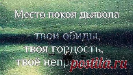 (20) Одноклассники