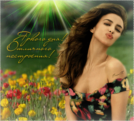 Я всем желаю... ~ Плэйкасты ~ Beesona.Ru