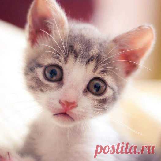 (20+) Facebook