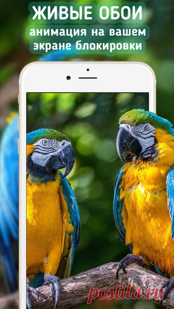 [Sale-iPhone] Живые обои для iPhone HD Живые обои для ваш iPhone! Работает на Phone 6s, iPhone 6s Plus, iPhone 7 и 7 Plus В приложении "Живые обои" подобраны самые яркие и зрелищные анимации, добавление новых обоев каждую пятницу! 229 руб. -> 75 руб. Ссылка: ====================== #app_store #распродажа@app_4u