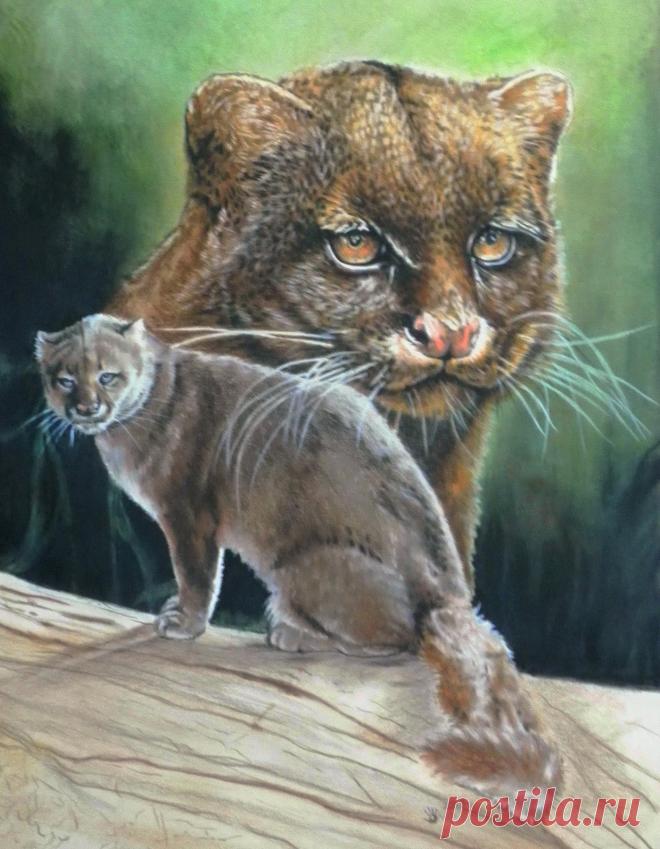 Разнообразный Барбара Кит | ArtWanted.com