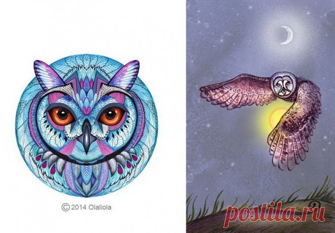 Совушки Ola Liola