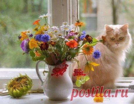 Фотографии друзей