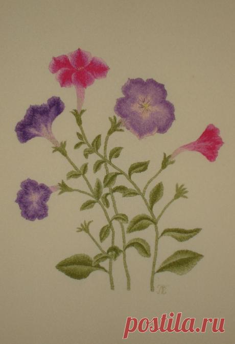 Яндекс.Фотки