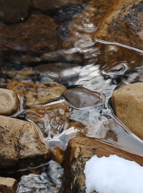 riverwindphotography:
“ ~~The water was flowing like silk through the forest~~
gif by riverwindphotography, March 2017
”