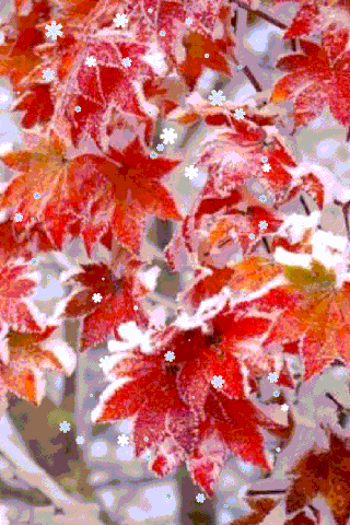 Листочки