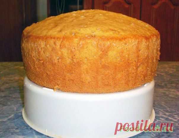 Бисквит на лимонаде / Готовим тесто / Кулинарные рецепты - Фуд-клаб.ру