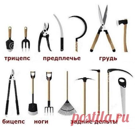 Альтернатива тренажерному залу. Актуально. / Только машины