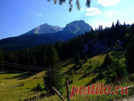 (6) Turistička Organizacija Žabljak