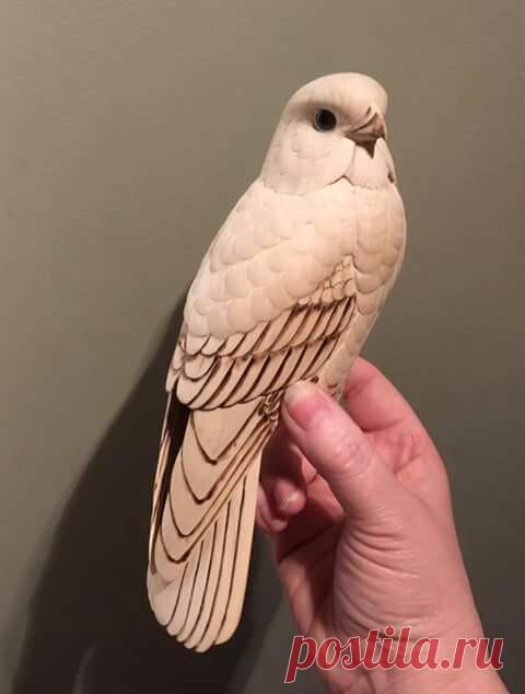 fcc55711f34ecdfa0e7c2632807e5ac5.jpg (480×634)