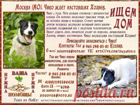 Мой Мир@Mail.Ru