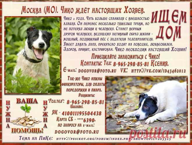 Мой Мир@Mail.Ru