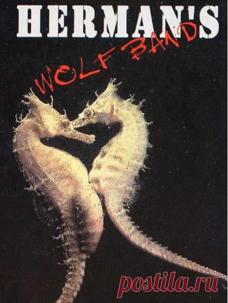 Download Herman's Wolf Band - Hermaneutics (1996) FLAC, Cassette Artist: Herman's Wolf Band Album: Hermaneutics Year: 1996 Genre: Blues Rock, Psychedelic Rock Country: Bulgaria Format: FLAC (*tracks, covers) Size: 397 MB