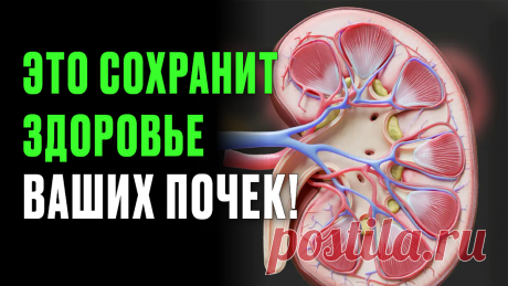 Включи это в рацион, чтобы избежать серьёзных проблем с почками! | Лечение боли | Дзен