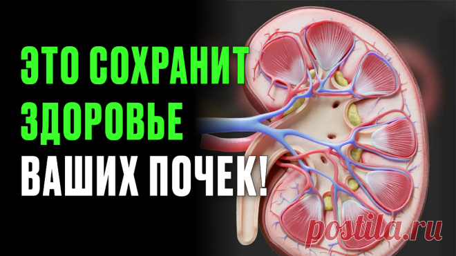 Включи это в рацион, чтобы избежать серьёзных проблем с почками! | Лечение боли | Дзен