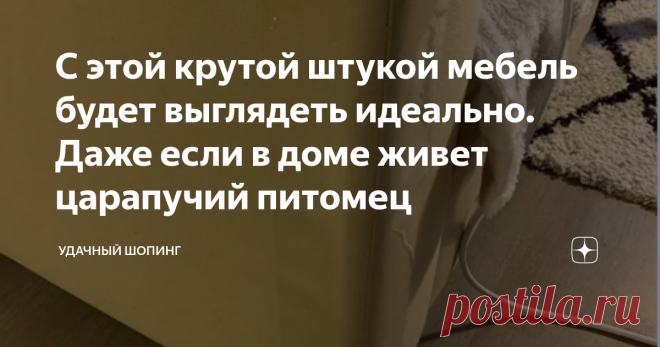 С этой крутой штукой мебель будет выглядеть идеально. Даже если в доме живет царапучий питомец Привет, уважаемые читатели!
Сегодня я рассказываю о своей проблеме, с которой столкнулась совсем недавно.
Давно хотела себе домашнего животного. И моя мечта сбылась. Муж подарил маленького рыжего котёнка.
Моей радости не было предела. Радовалась как маленький ребенок подарку на День рождения.