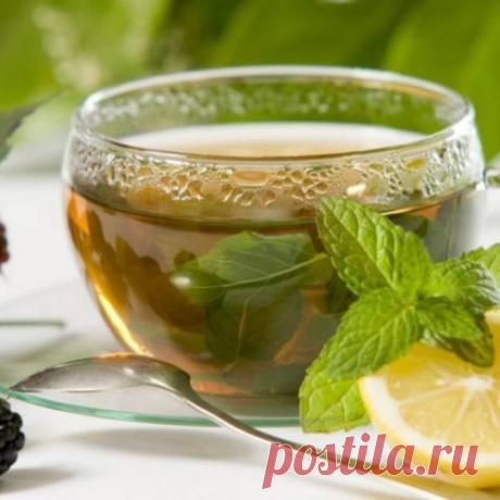 Народные средства и рецепты для лечение гипотонии