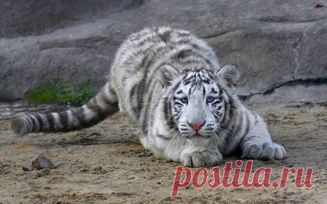 Фотографии на стене сообщества | 19 484 фотографии