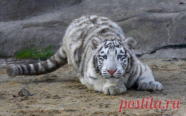 Фотографии на стене сообщества | 19 484 фотографии