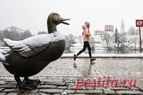 Москве предрекли возвращение снежного покрова
