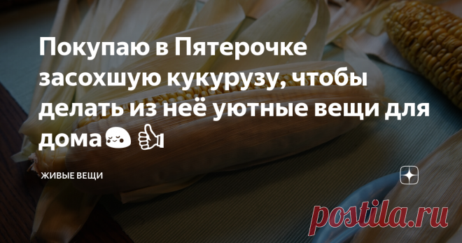 Покупаю в Пятерочке засохшую кукурузу, чтобы делать из неё уютные вещи для дома😳👍 Продавец на кассе удивилась и уточнила, точно ли мне нужен этот пакет кукурузы и знаю ли я, что она уже не пригодна для еды и просто-напросто засохла🤣. Конечно знаю! Это как раз то, что нужно мне - початки с засохшими листьями.  Нужны мне были, как вы, наверное, догадались, сами листья, а вовсе не зёрна. Свою кукурузу в огороде я давно уже израсходовала, в следующем году сажать надо, одноз...