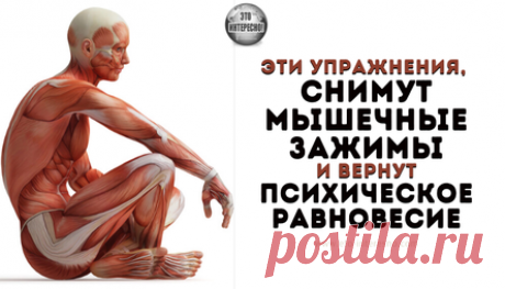 Упражнения, которые улучшат кровоснабжение мозга, выпрямят позвоночник, освободят сосуды от зажимов