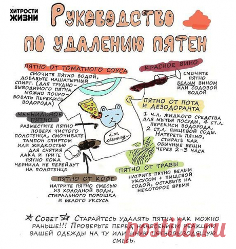 Группа: Хитрости жизни