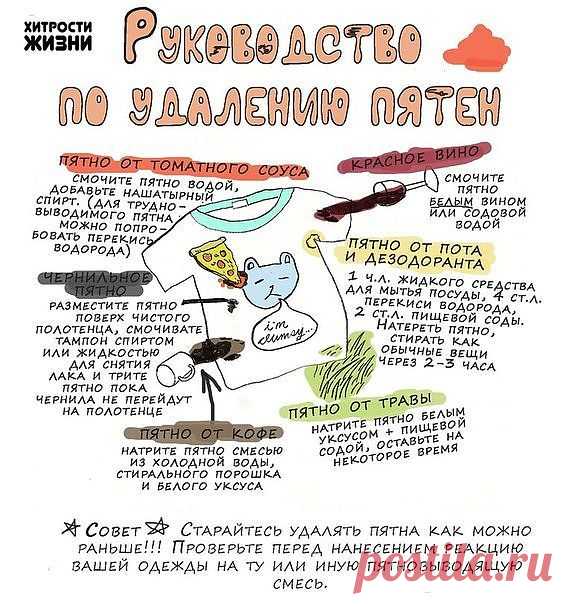 Группа: Хитрости жизни