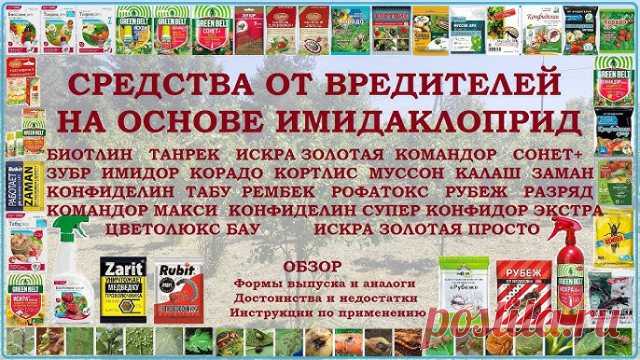 Гладиолусы - Страница 92
