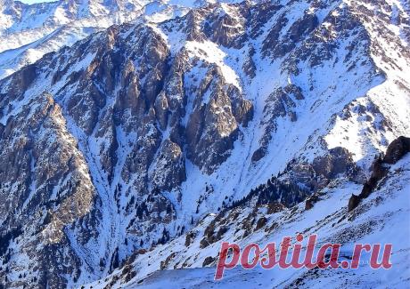 (9) Одноклассники