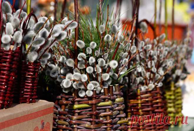 ВЕРБНОЕ ВОСКРЕСЕНЬЕ! ПРИМЕТЫ И ОБЫЧАИ ЭТОГО ДНЯ В 2017 году Вербное Воскресение отмечается 9 апреля, за неделю до Пасхи.

Праздник входа Господня в Иерусалим христианская церковь ввела в IV веке, а на Руси он появился в X веке и стал называться Вер…