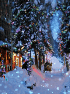 1100482.gif (240×320)
