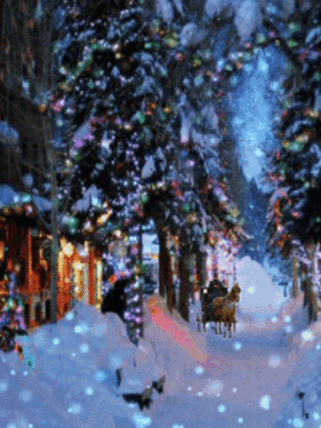 1100482.gif (240×320)