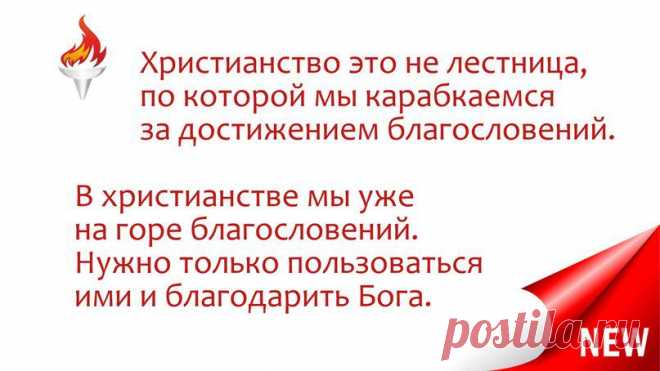 Новости